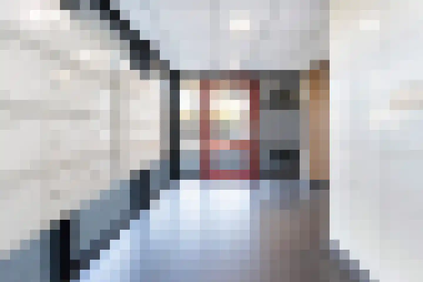 Kalmoesstraat 189 Apeldoorn thumbnail 7