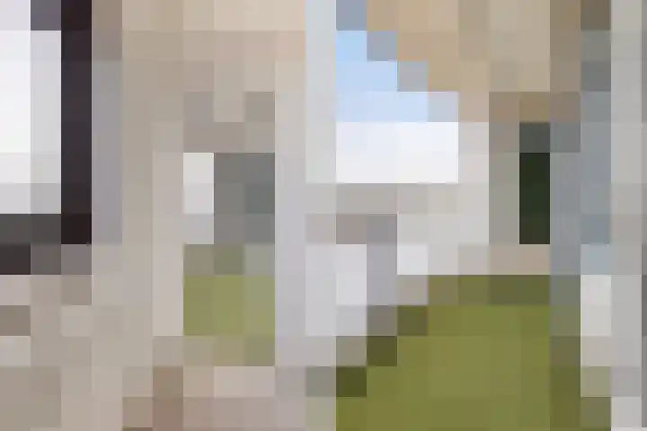 Kalmoesstraat 191 Apeldoorn thumbnail 34