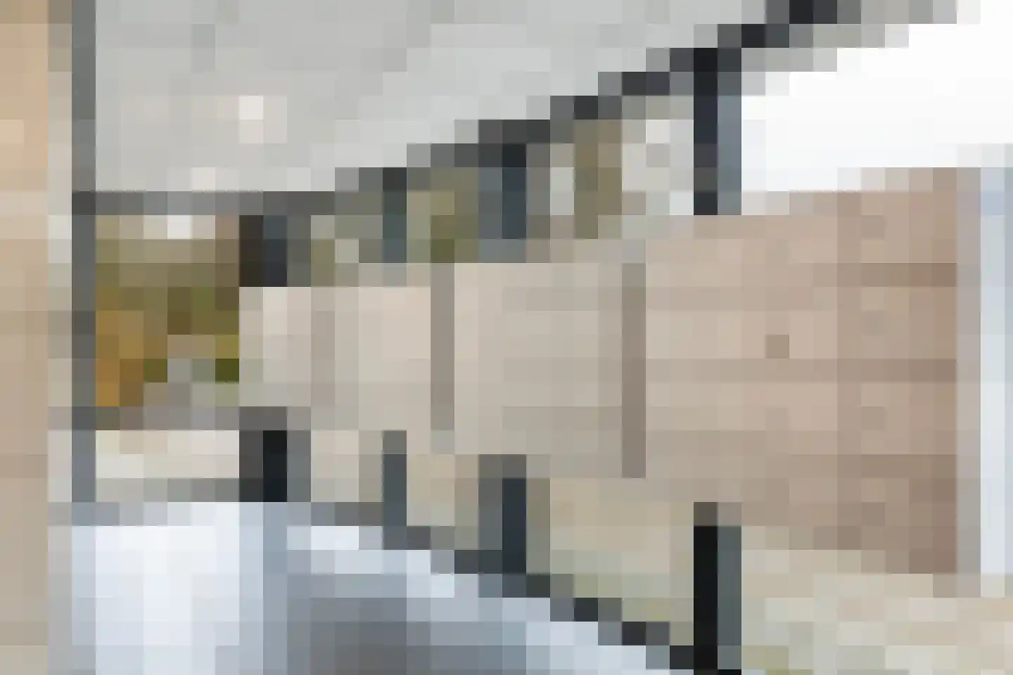 Kalmoesstraat 205 Apeldoorn thumbnail 5