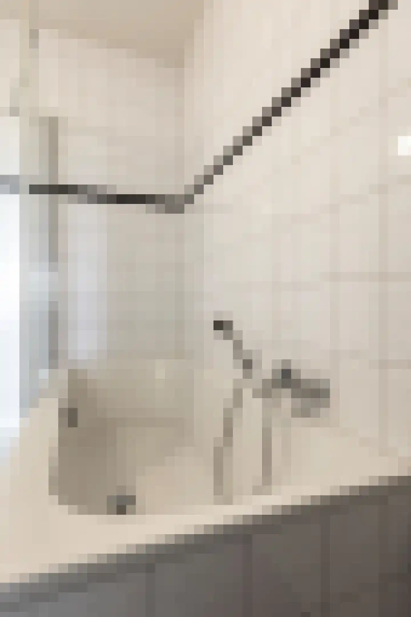 Kalmoesstraat 259 Apeldoorn thumbnail 32