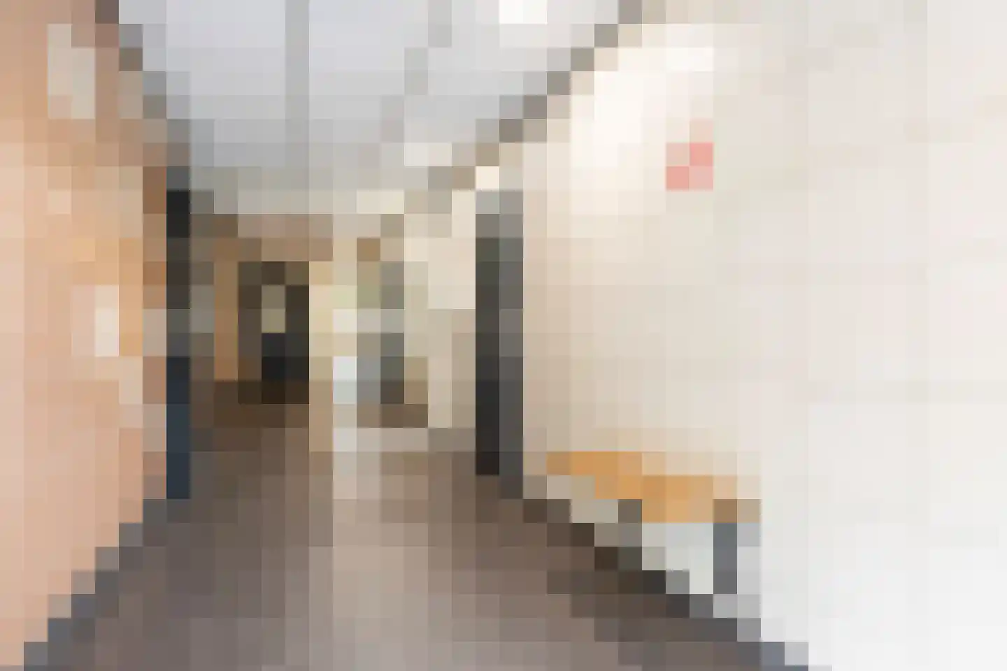Kalmoesstraat 259 Apeldoorn thumbnail 5