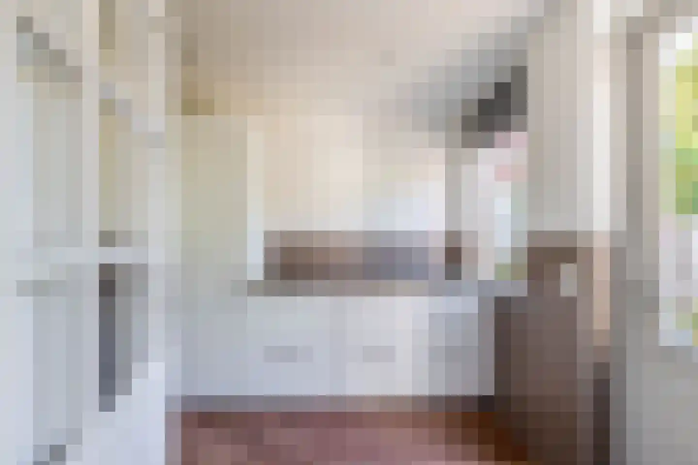 Kalmoesstraat 28 Lisserbroek thumbnail 20
