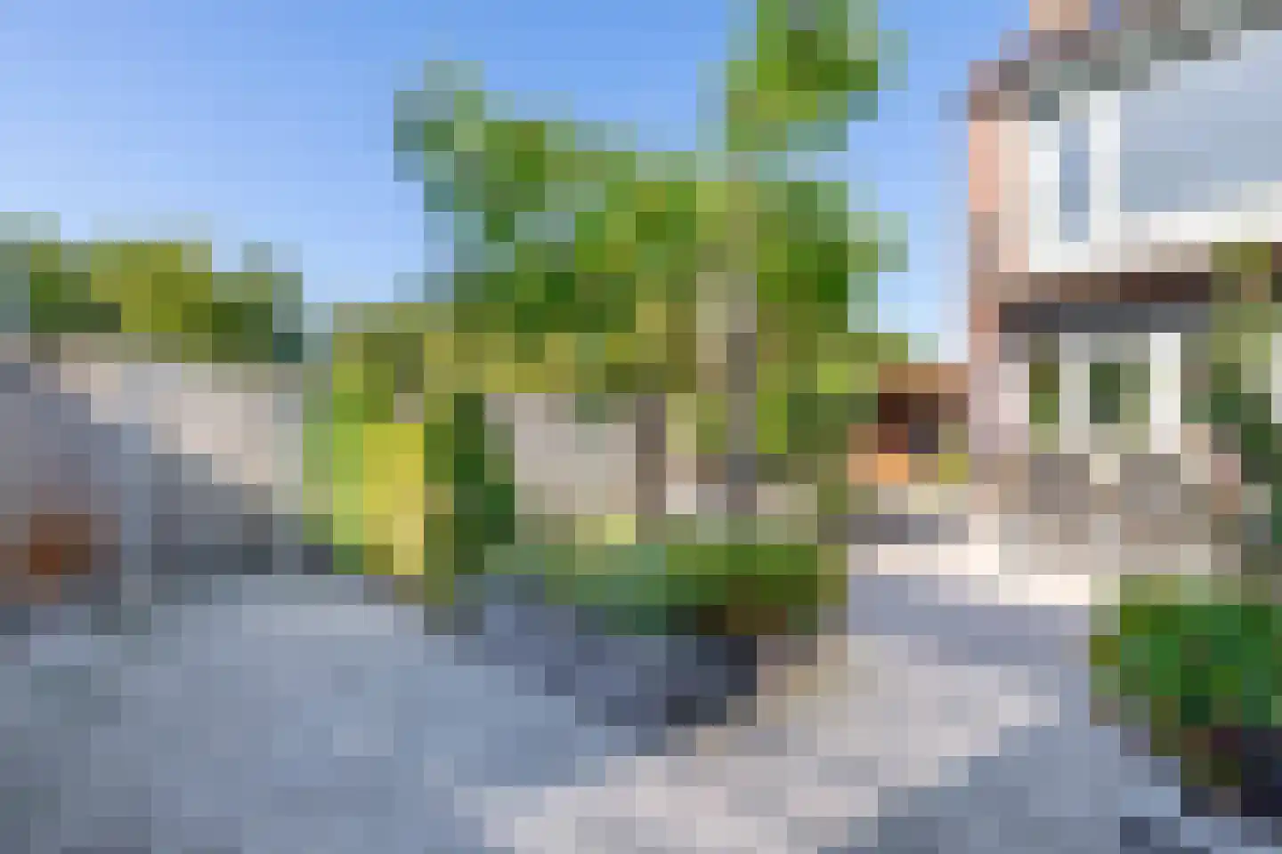 Kalmoesstraat 28 Lisserbroek thumbnail 40