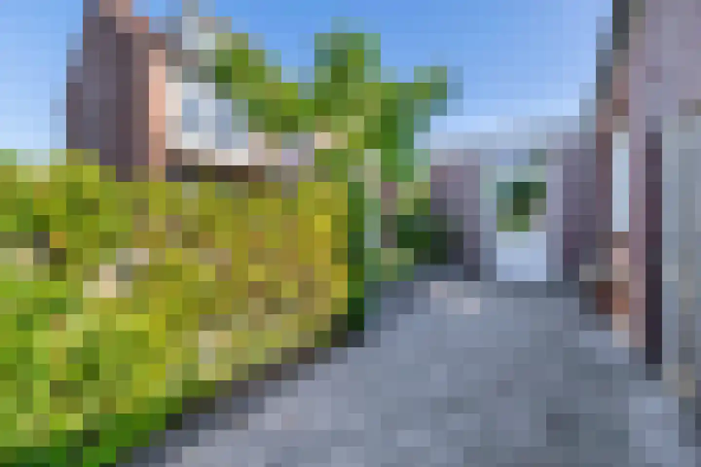 Kalmoesstraat 28 Lisserbroek thumbnail 41