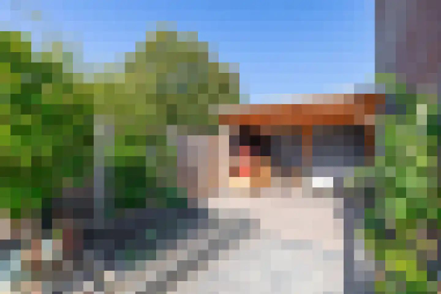 Kalmoesstraat 28 Lisserbroek thumbnail 44