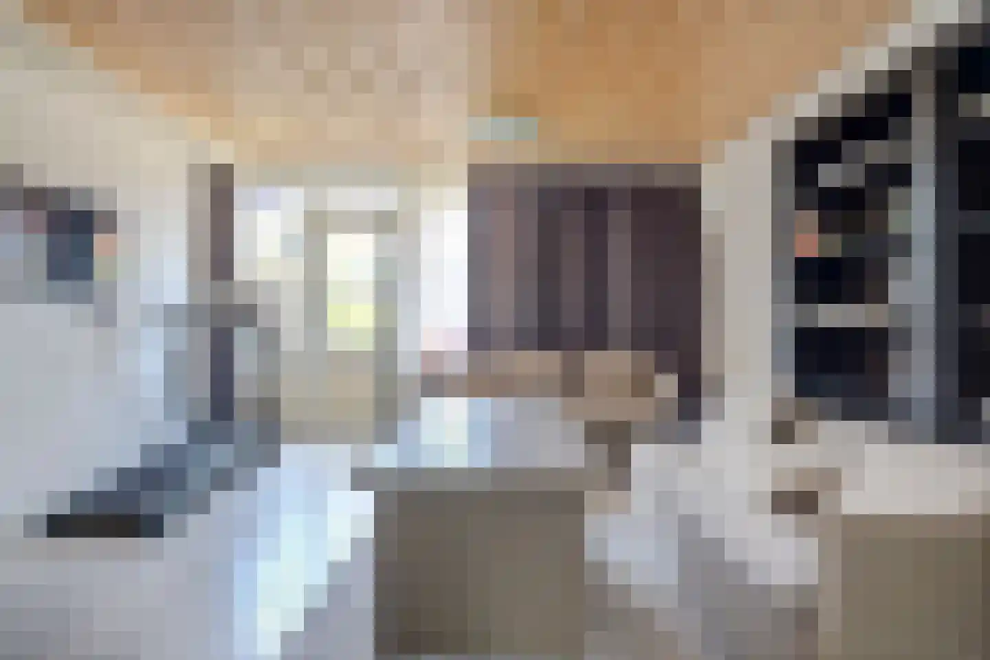 Kalmoesstraat 31 Hoogvliet Rotterdam thumbnail 4