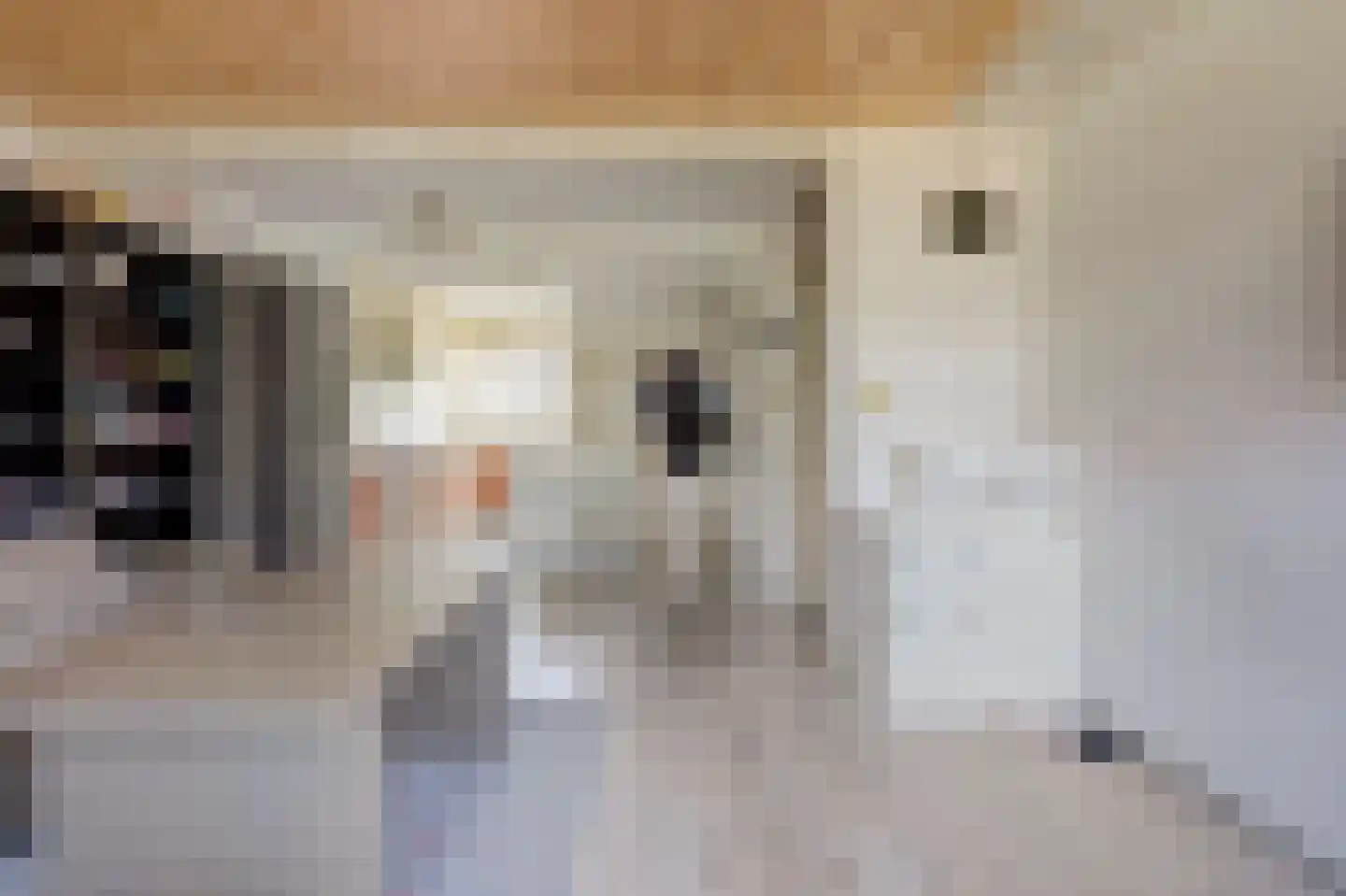 Kalmoesstraat 31 Hoogvliet Rotterdam thumbnail 7