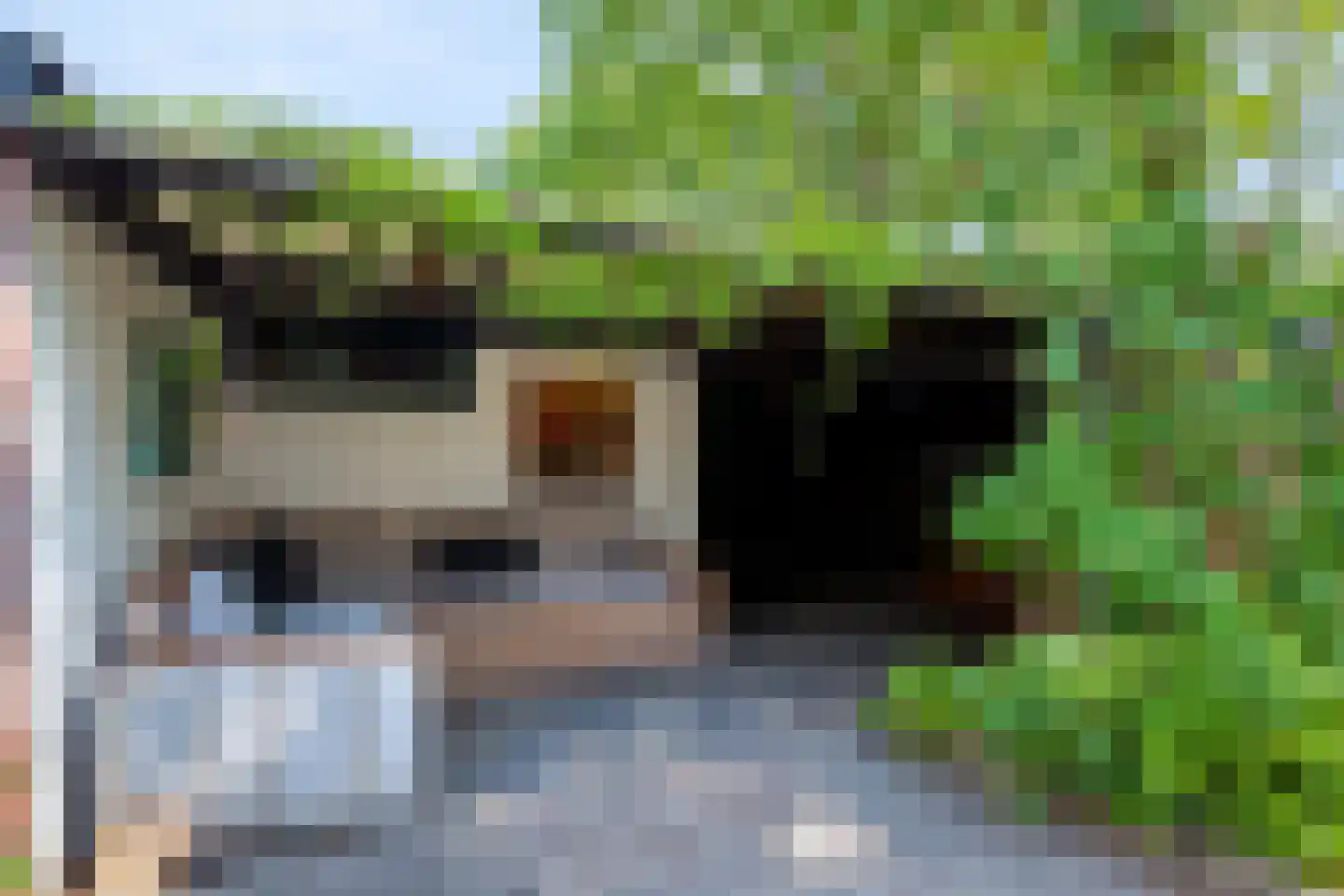 Kalmoesstraat 36 Apeldoorn thumbnail 26