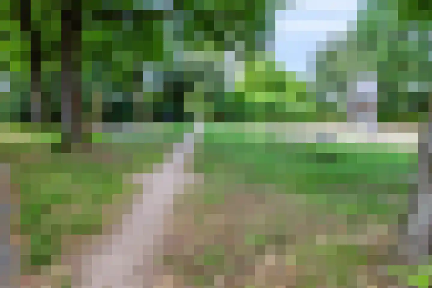 Kalmoesstraat 36 Apeldoorn thumbnail 33