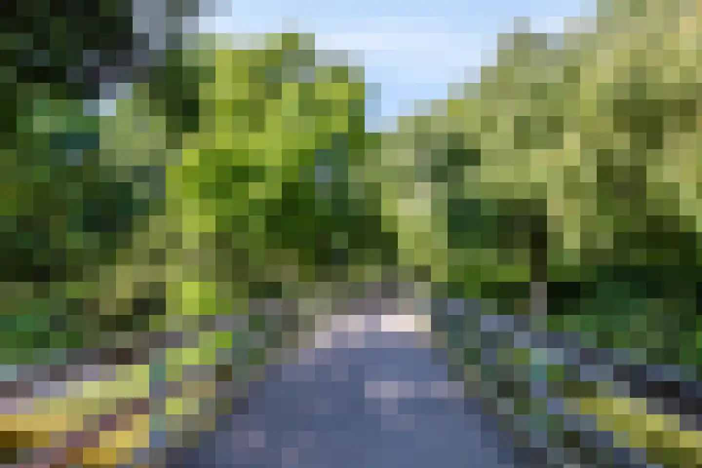 Kalmoesstraat 36 Apeldoorn thumbnail 34