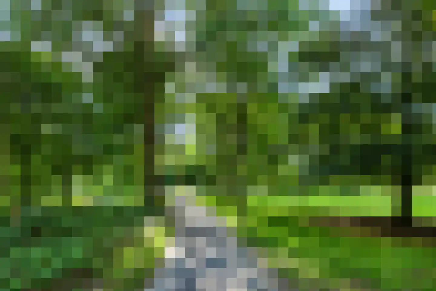 Kalmoesstraat 36 Apeldoorn thumbnail 38