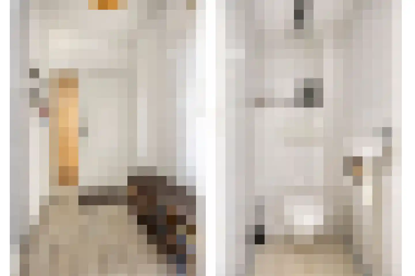 Kalmoesstraat 49 Apeldoorn thumbnail 8