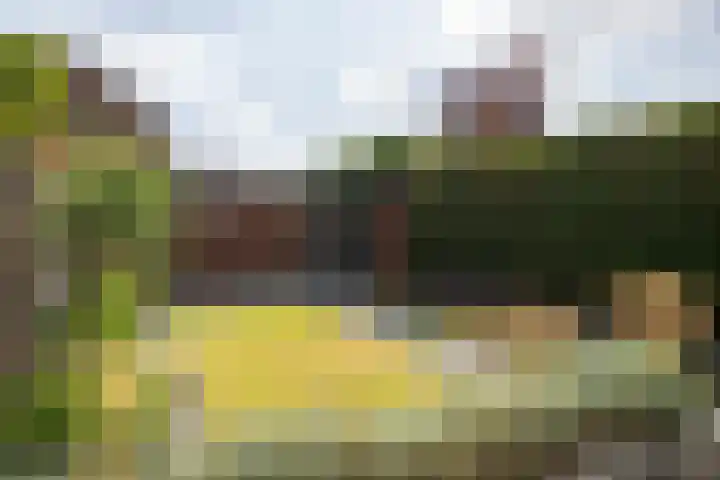 Kalmoesstraat 54 Apeldoorn thumbnail 24