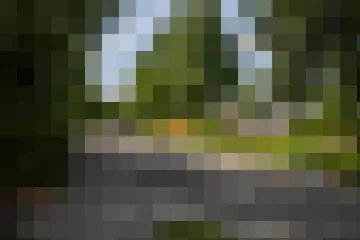 Kalmoesstraat 54 Apeldoorn thumbnail 26