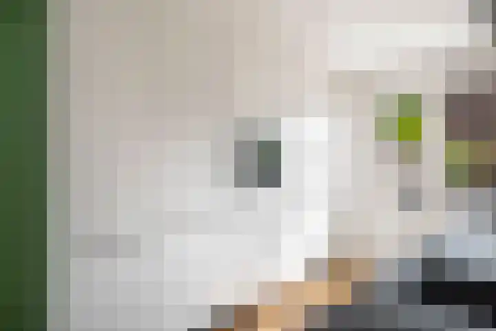 Kalmoesstraat 54 Apeldoorn thumbnail 6