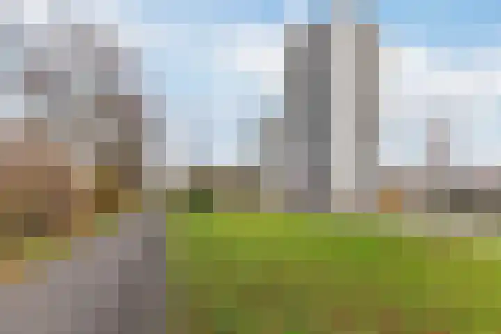Kalmoesstraat 55 in Apeldoorn