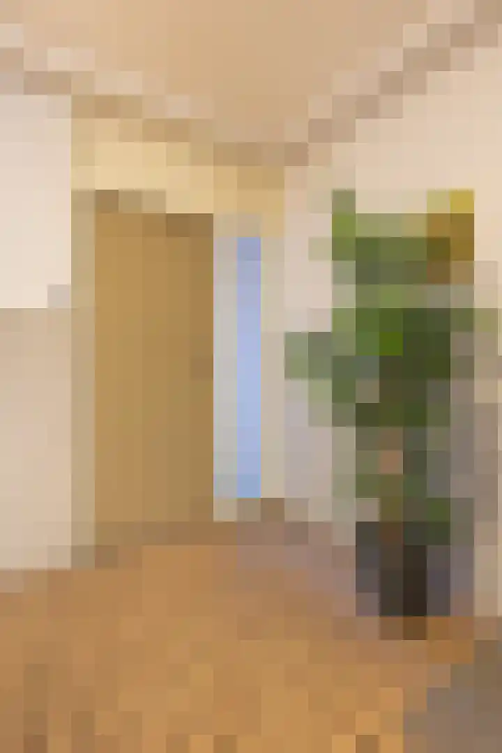 Kalmoesstraat 55 Apeldoorn thumbnail 7