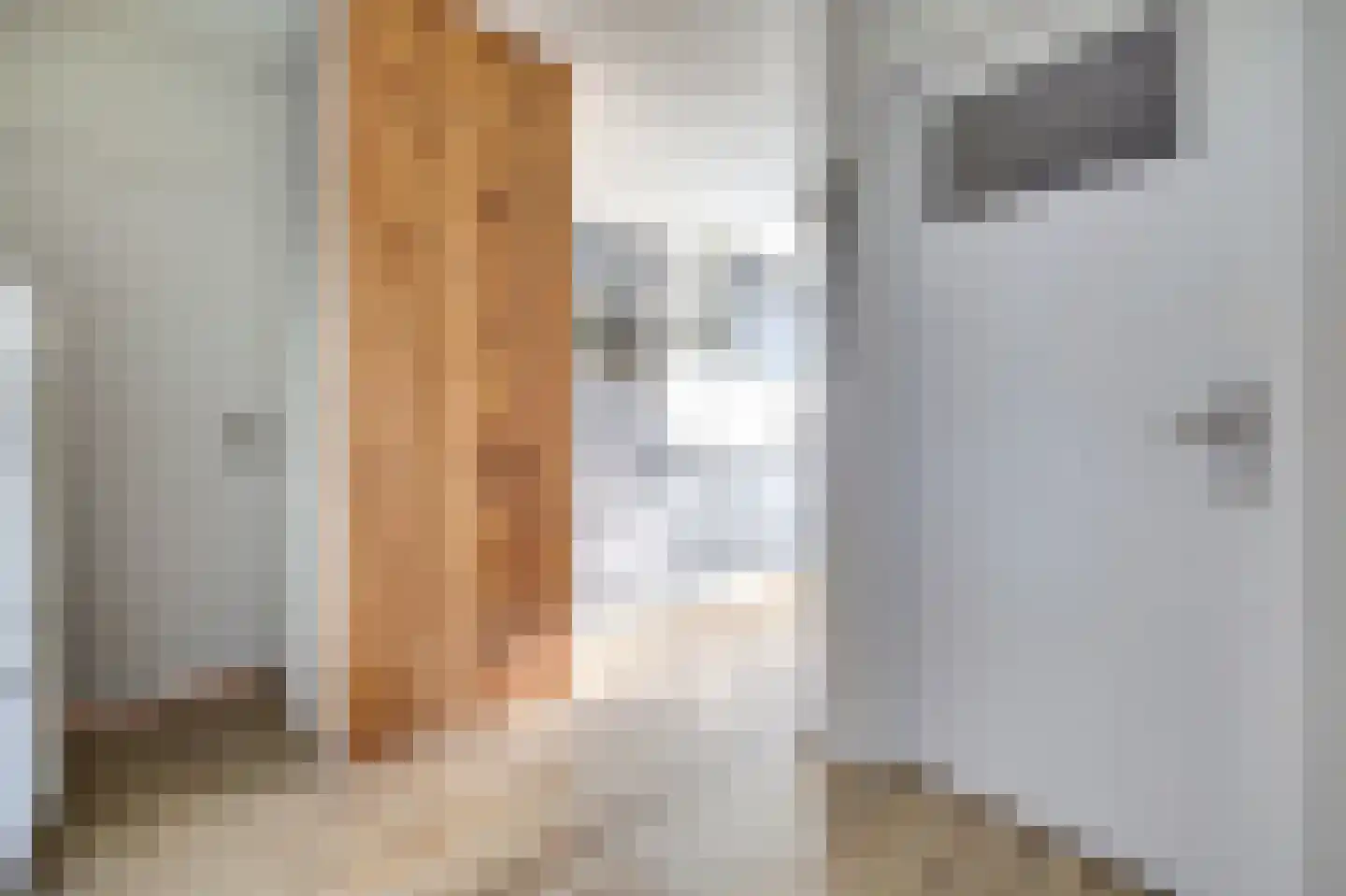 Kalmoesstraat 6 Hoogvliet Rotterdam thumbnail 12