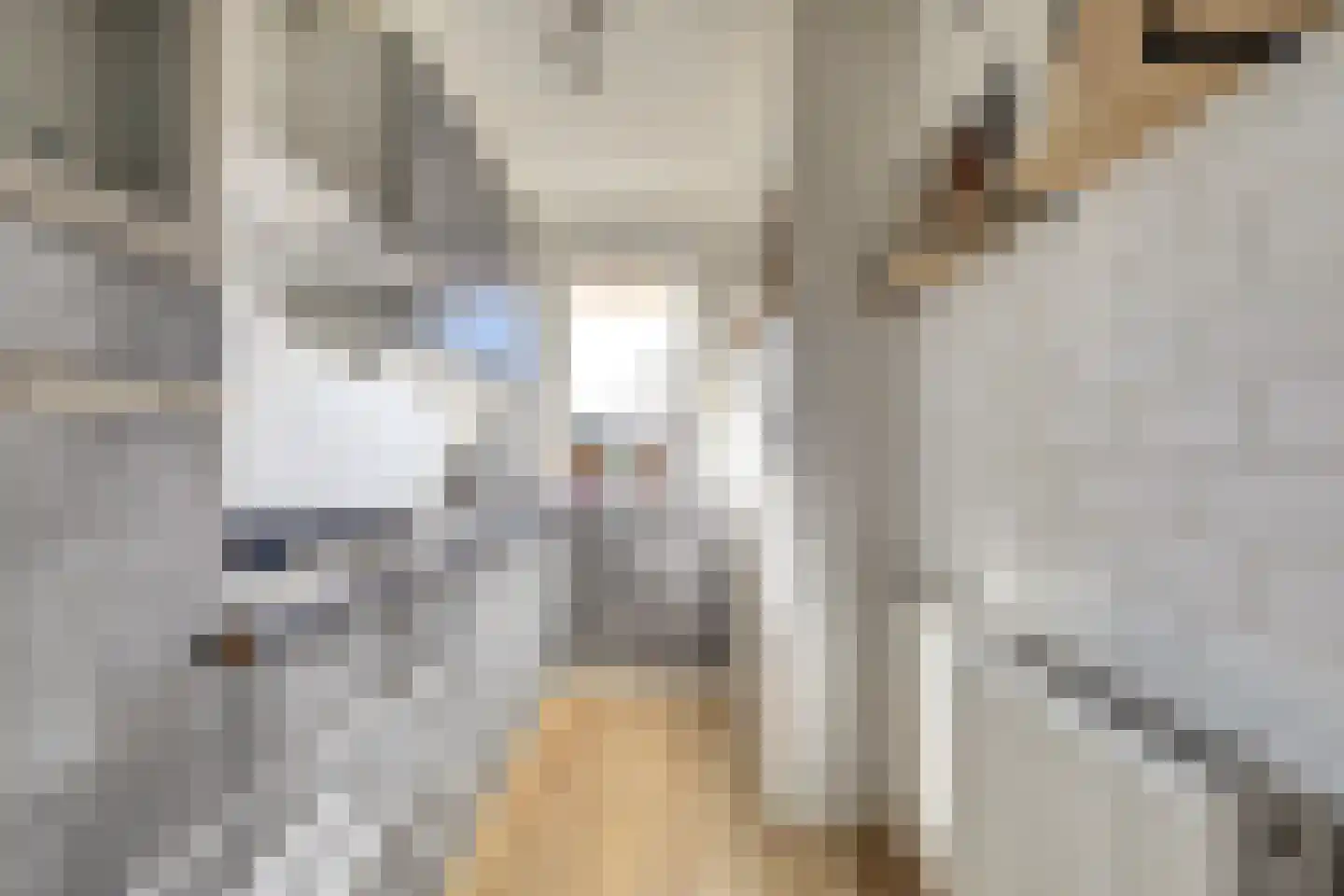 Kalmoesstraat 6 Hoogvliet Rotterdam thumbnail 4