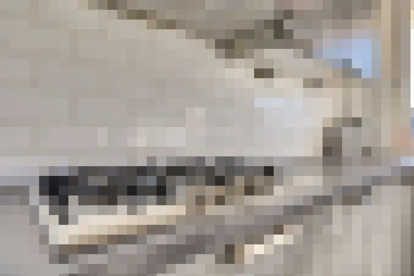 Kalmoesstraat 6 Hoogvliet Rotterdam thumbnail 9
