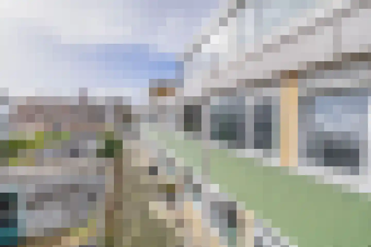 Kalmoesstraat 63 Hoogvliet Rotterdam thumbnail 7