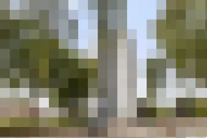 Kalmoesstraat 83 Apeldoorn thumbnail 4