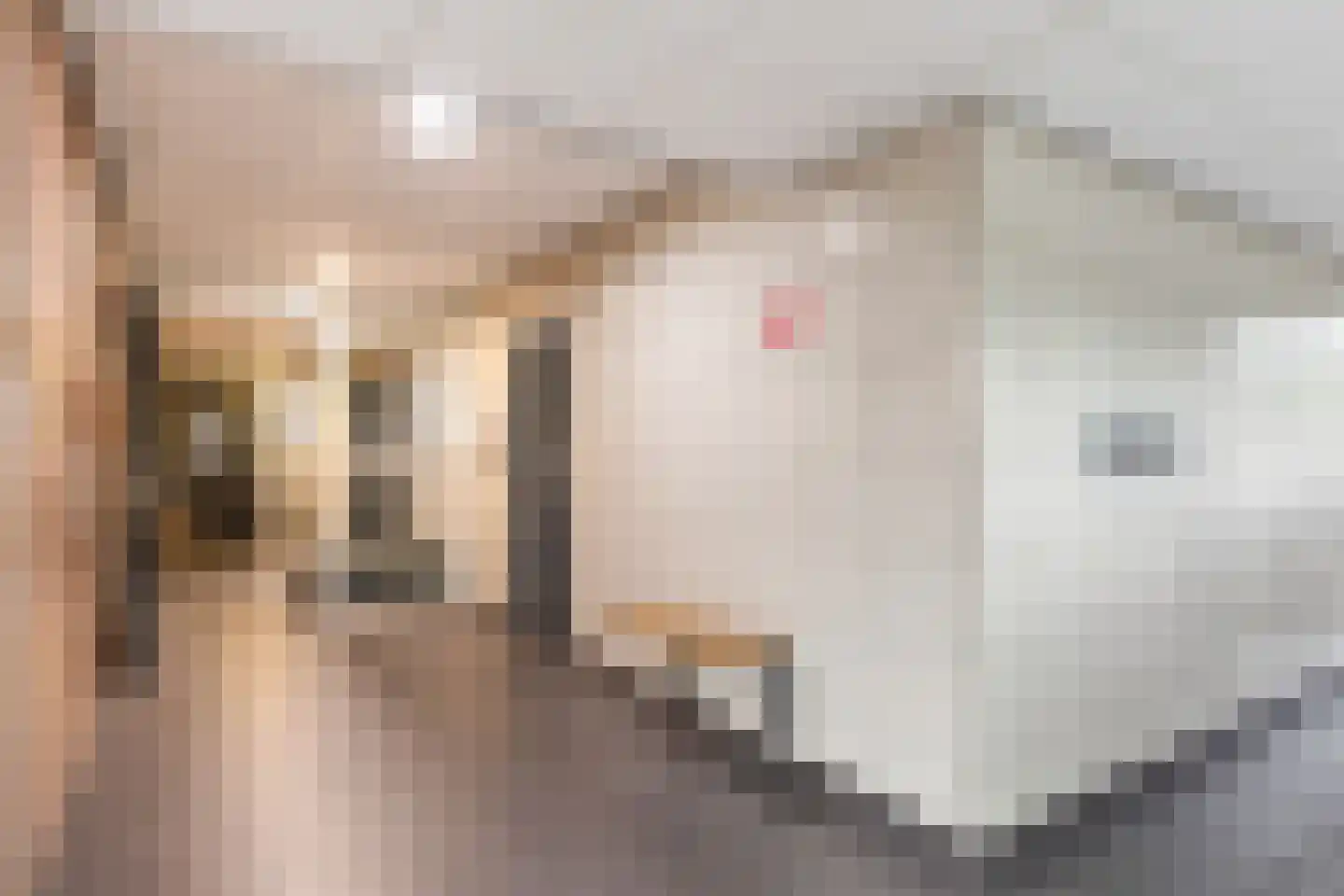 Kalmoesstraat 95 Apeldoorn thumbnail 29