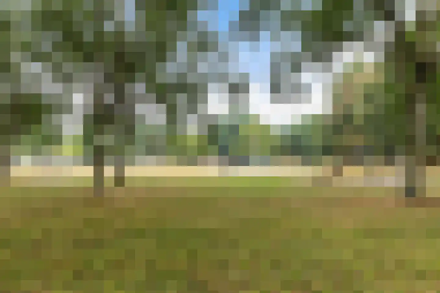Kalmoesstraat 95 Apeldoorn thumbnail 39