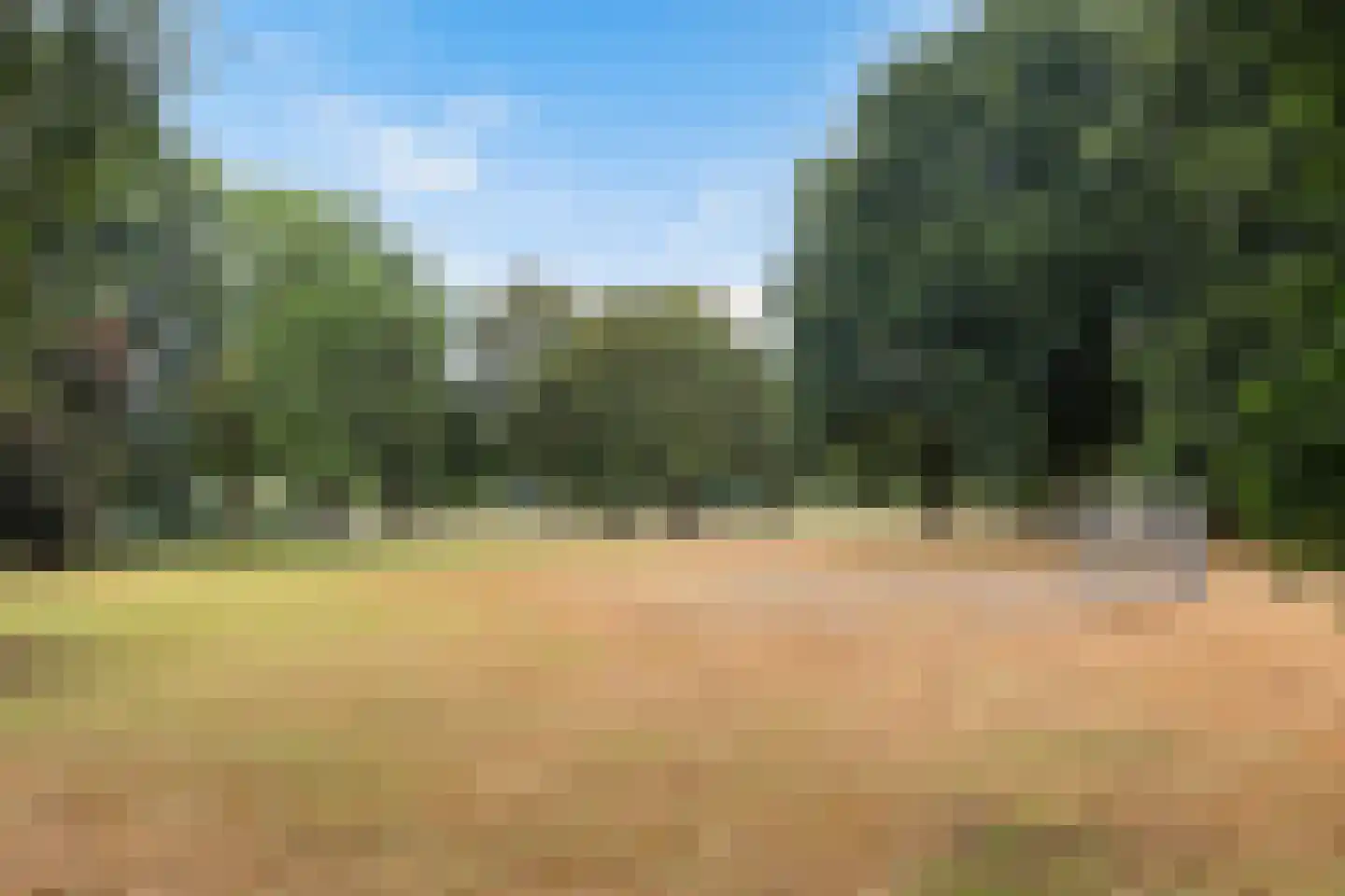 Kalmoesstraat 95 Apeldoorn thumbnail 40