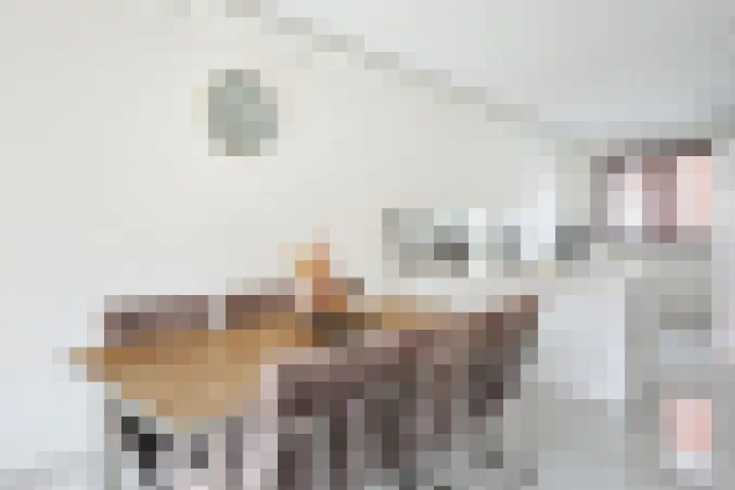 Kalmoesweg 6 Utrecht thumbnail 14