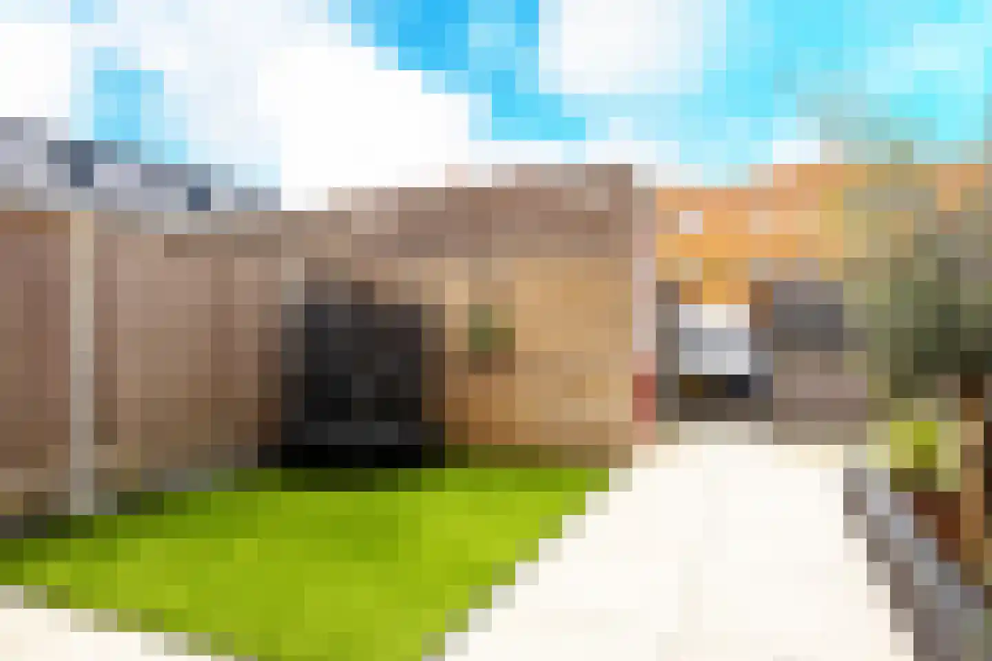 Kalmoesweg 6 Utrecht thumbnail 20