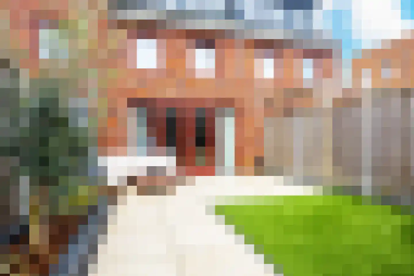 Kalmoesweg 6 Utrecht thumbnail 4