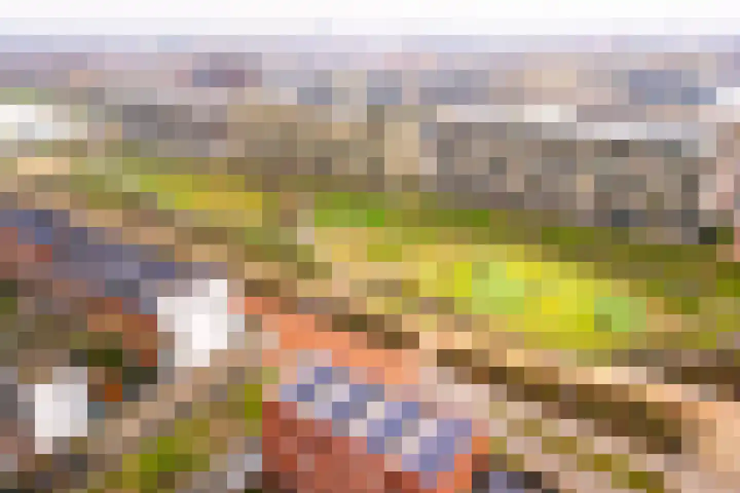 Kalmoesweg 6 Utrecht thumbnail 52