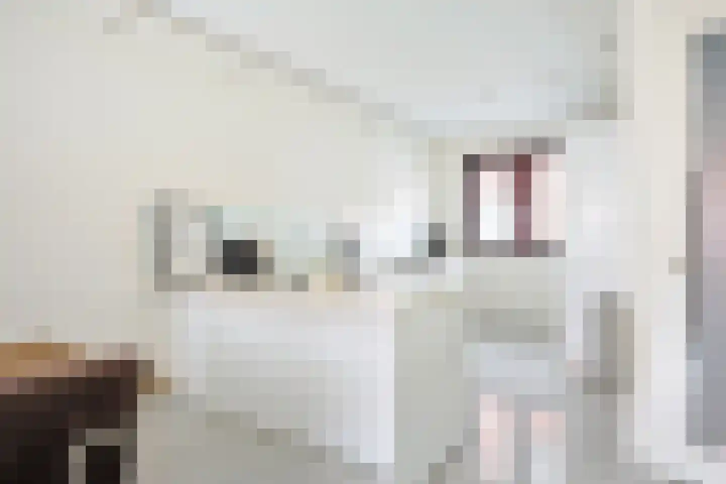 Kalmoesweg 6 Utrecht thumbnail 8