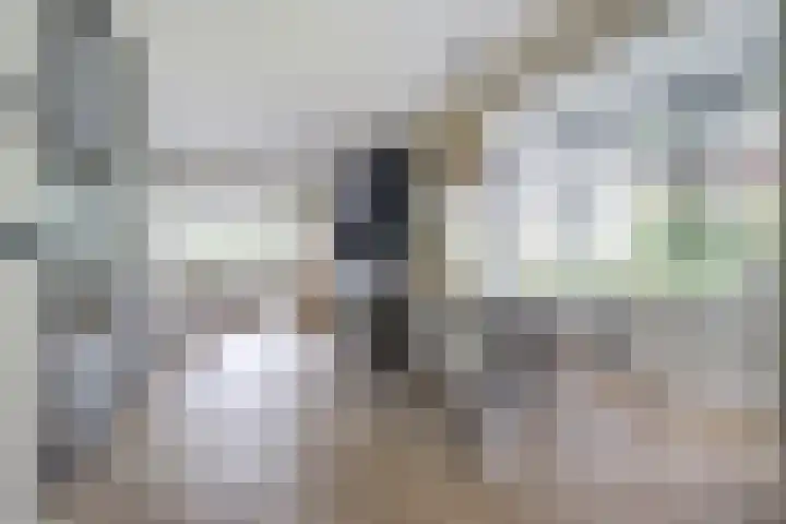 Kalootstraat 24 Borssele thumbnail 10