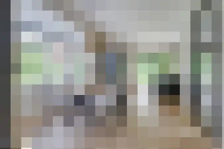 Kalootstraat 24 Borssele thumbnail 11