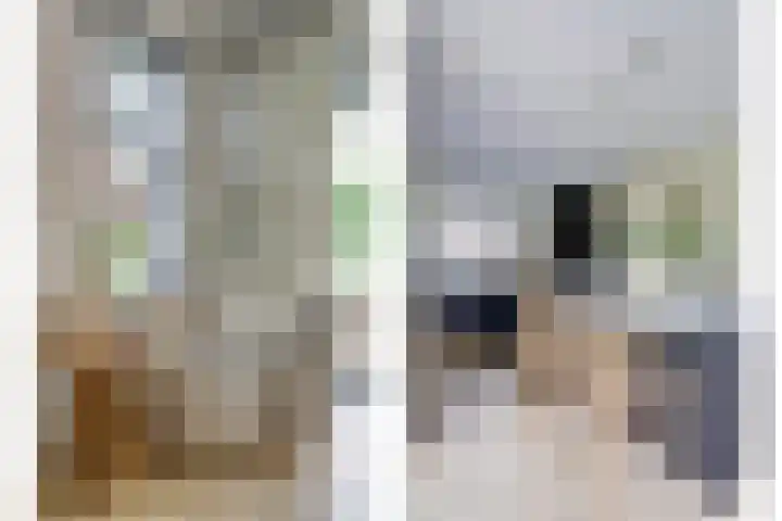 Kalootstraat 24 Borssele thumbnail 13