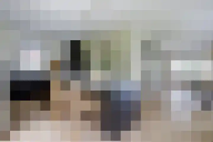 Kalootstraat 24 Borssele thumbnail 14
