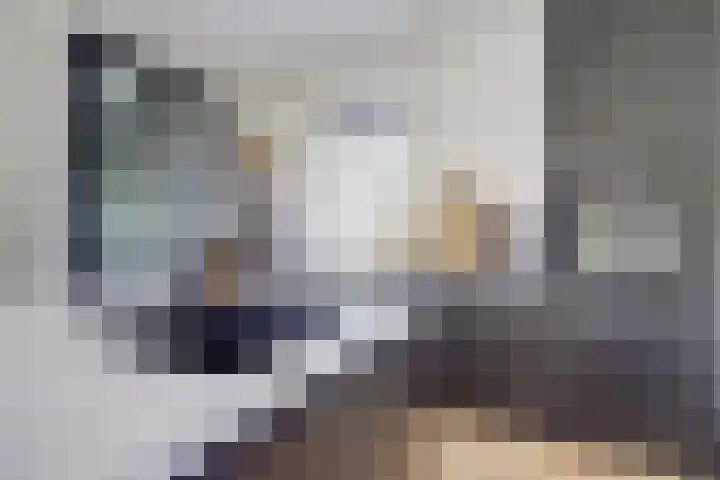 Kalootstraat 24 Borssele thumbnail 16
