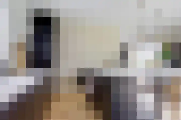 Kalootstraat 24 Borssele thumbnail 18