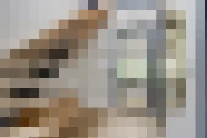 Kalootstraat 24 Borssele thumbnail 22
