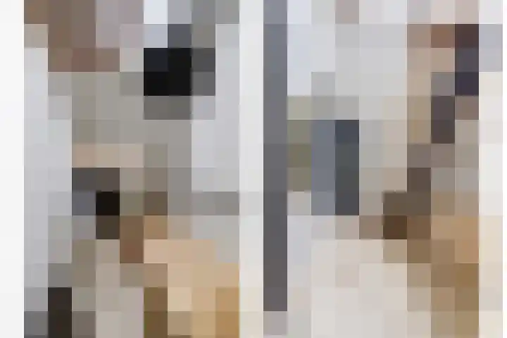 Kalootstraat 24 Borssele thumbnail 23