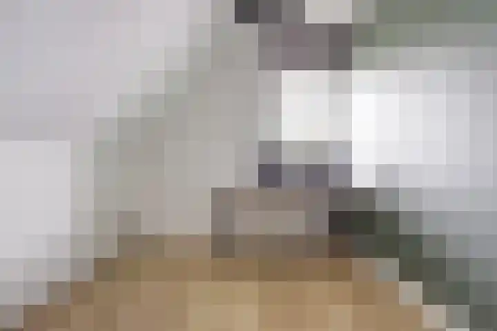 Kalootstraat 24 Borssele thumbnail 27
