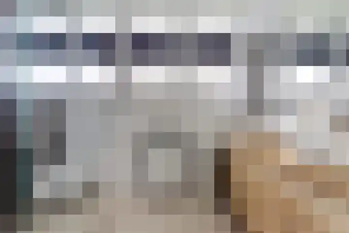 Kalootstraat 24 Borssele thumbnail 30