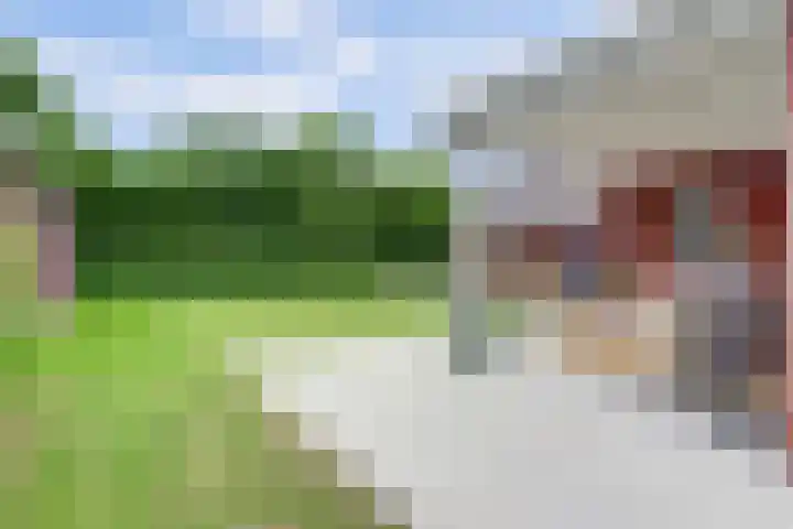 Kalootstraat 24 Borssele thumbnail 35