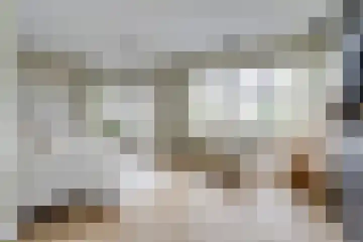 Kalootstraat 24 Borssele thumbnail 5