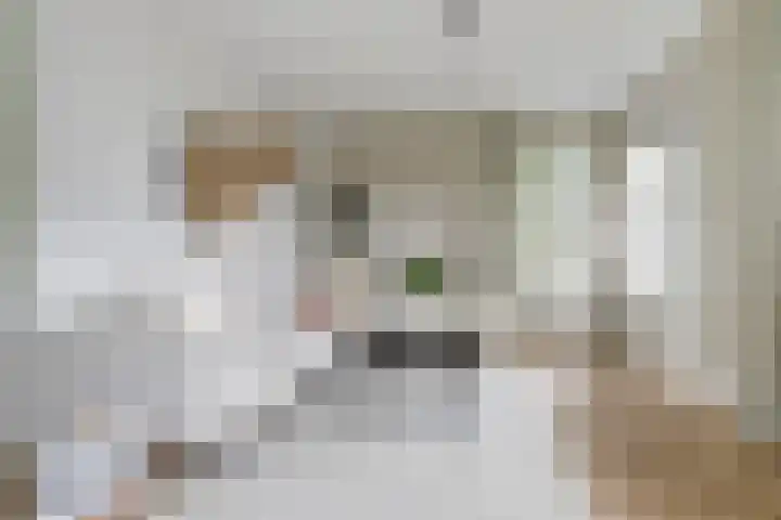 Kalootstraat 24 Borssele thumbnail 6
