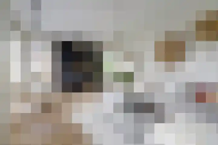 Kalootstraat 24 Borssele thumbnail 7