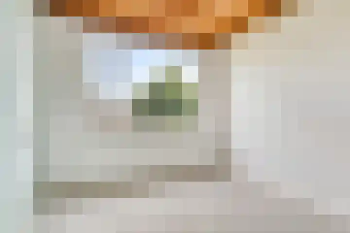 Kalorama 115 Hoofddorp thumbnail 11