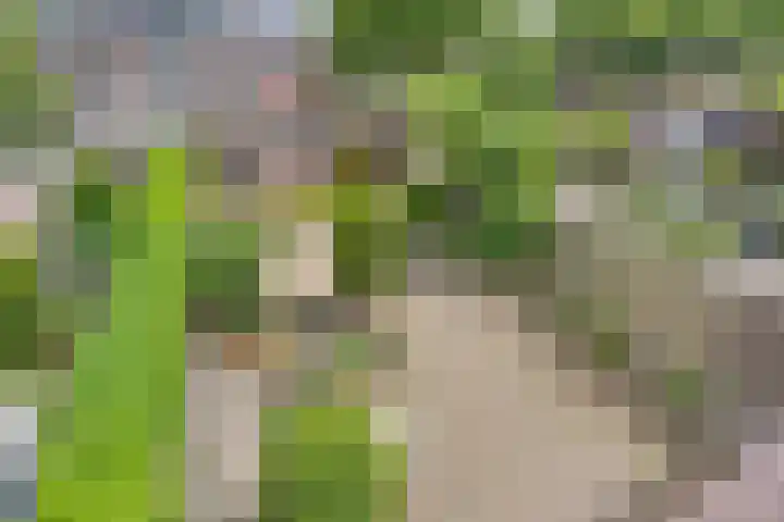 Kalorama 115 Hoofddorp thumbnail 18